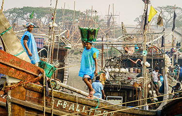 A Bangladeshi seafood worker loads fish.