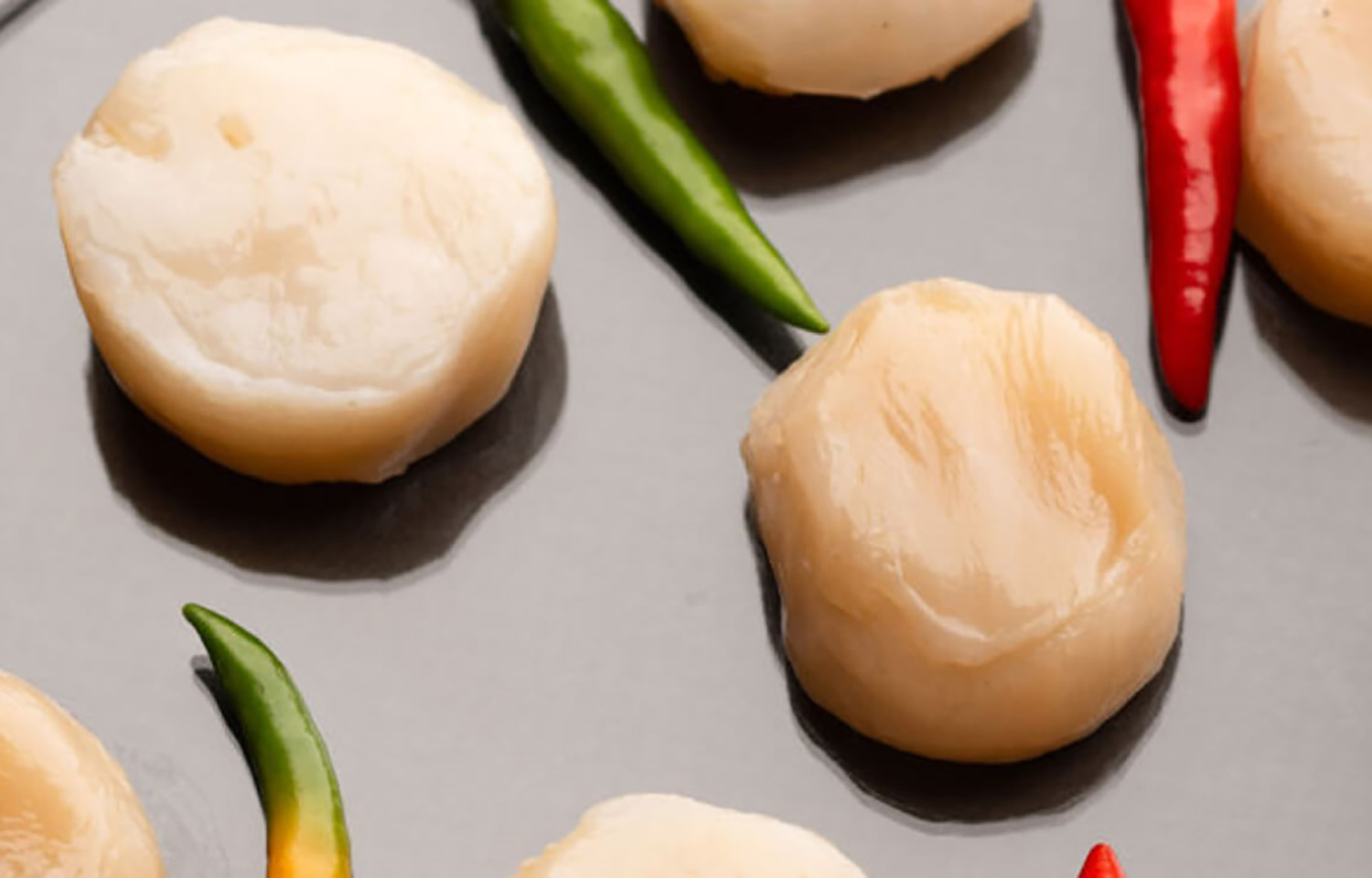 Cultivated fish-free scallops produced by Aqua Culture Foods\