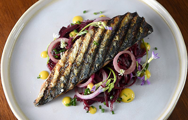 Mackerel-NL.jpg