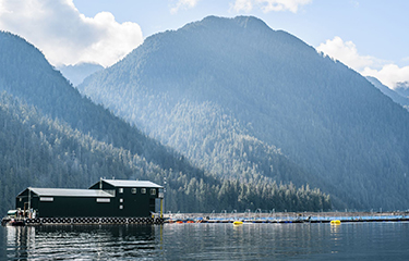 A Cermaq aquaculture farm in British Columbia, Canada