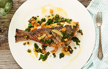 Mark_SeaBream-NL.jpg