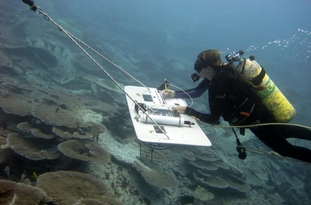 A diver conducts towboard surveys at Midway Atoll