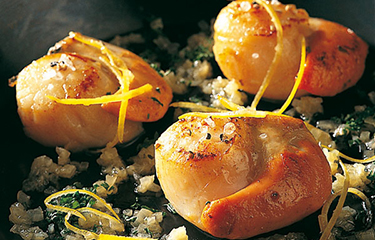 Coquille Scallops NL.jpg