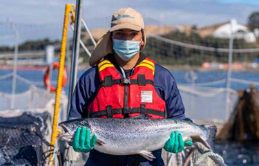 A Salmones Camanchaca worker holding a salmon.