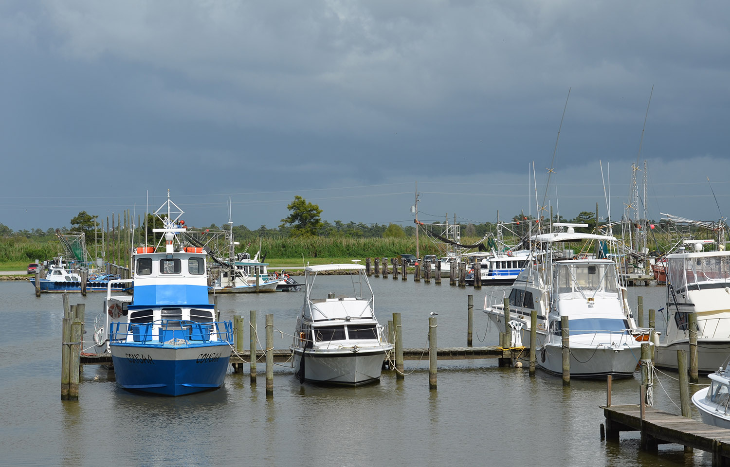 Vessels in a marine in Venice, Louisiana, U.S.A.