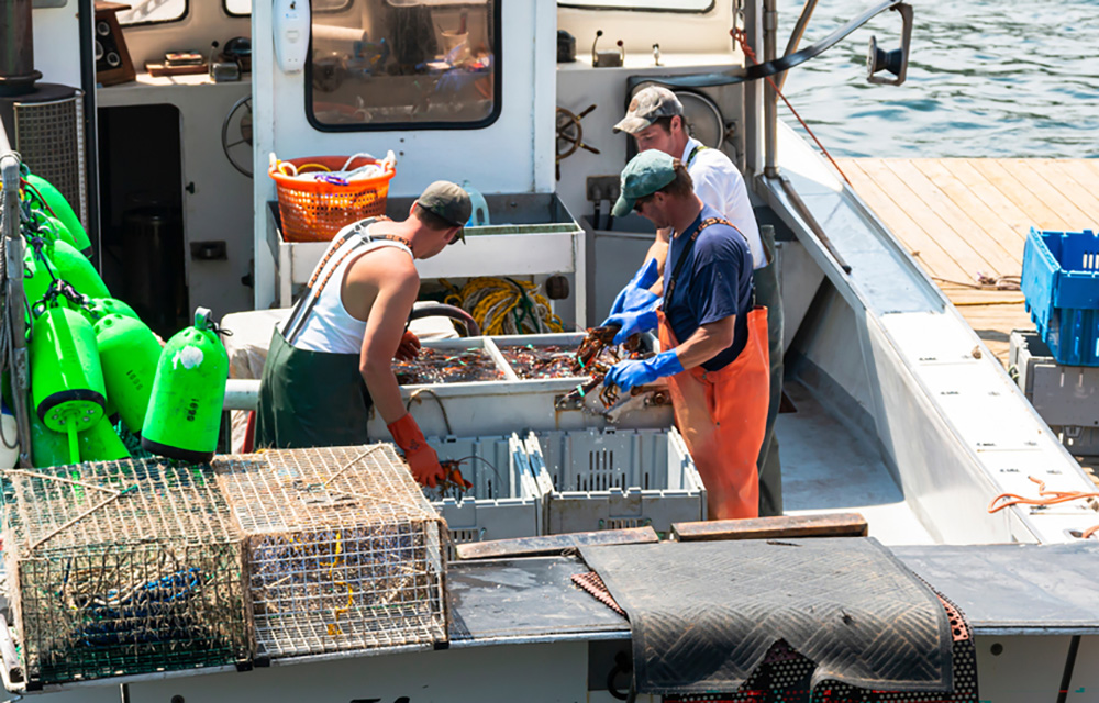 Maine lobstermen
