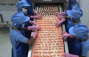 A Meenhar Group processing line before the company shut down.