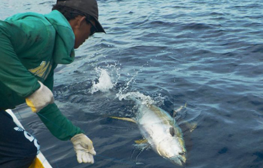 Indonesia pivoting toward aquaculture to enhance its world-leading