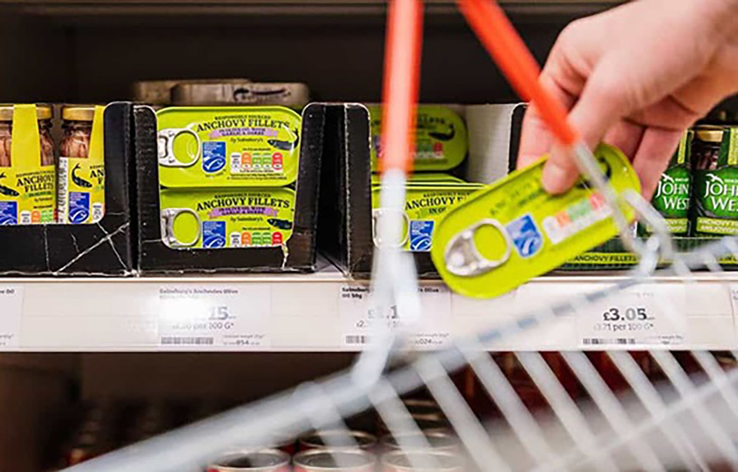 MSC-labeled seafood sales surge in British retail as tuna and preserved products drive growth