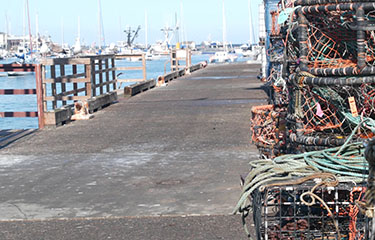 Fishery dock in Monterrey CA