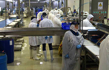 The processing line at a Nova Austral facility.