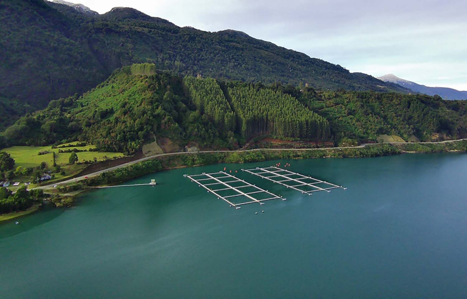 A Chilean salmon farm