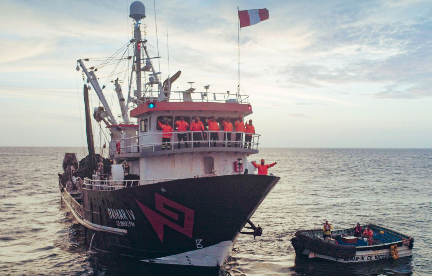 Peru’s Pesquera Hayduk purchases anchovy-processing plant