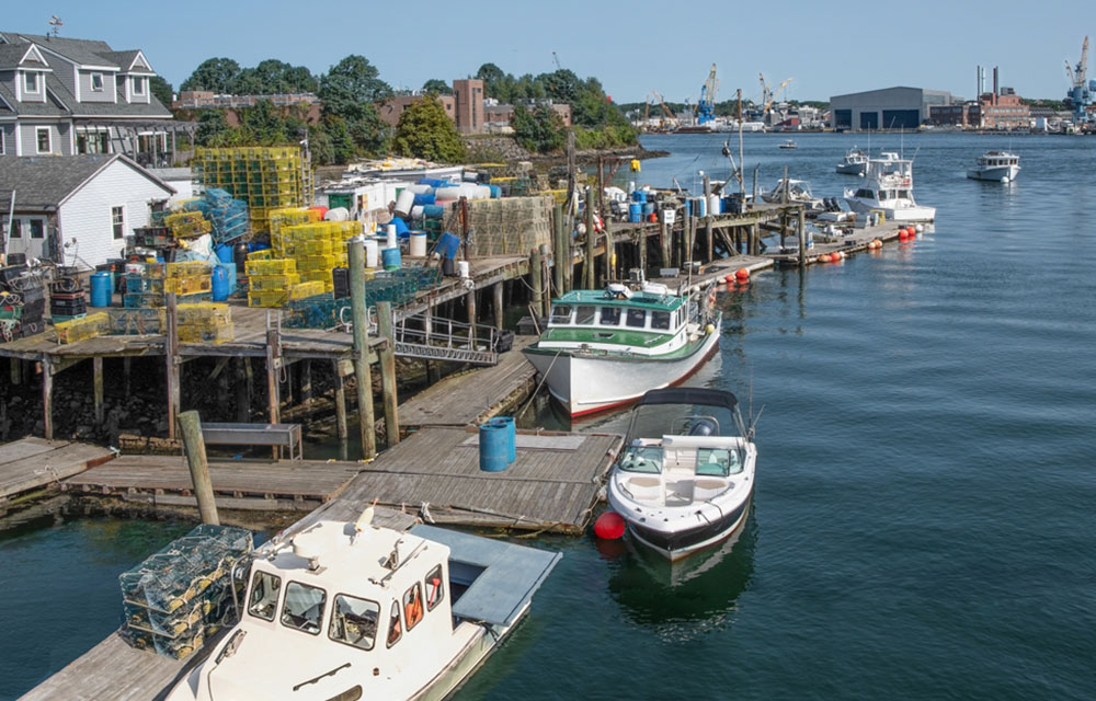 White House backs proposal to extend moratorium on new whale regulations impacting Maine lobster fishery