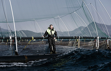 Grieg Seafood CEO Andreas Kvame at one of his company's salmon farms.