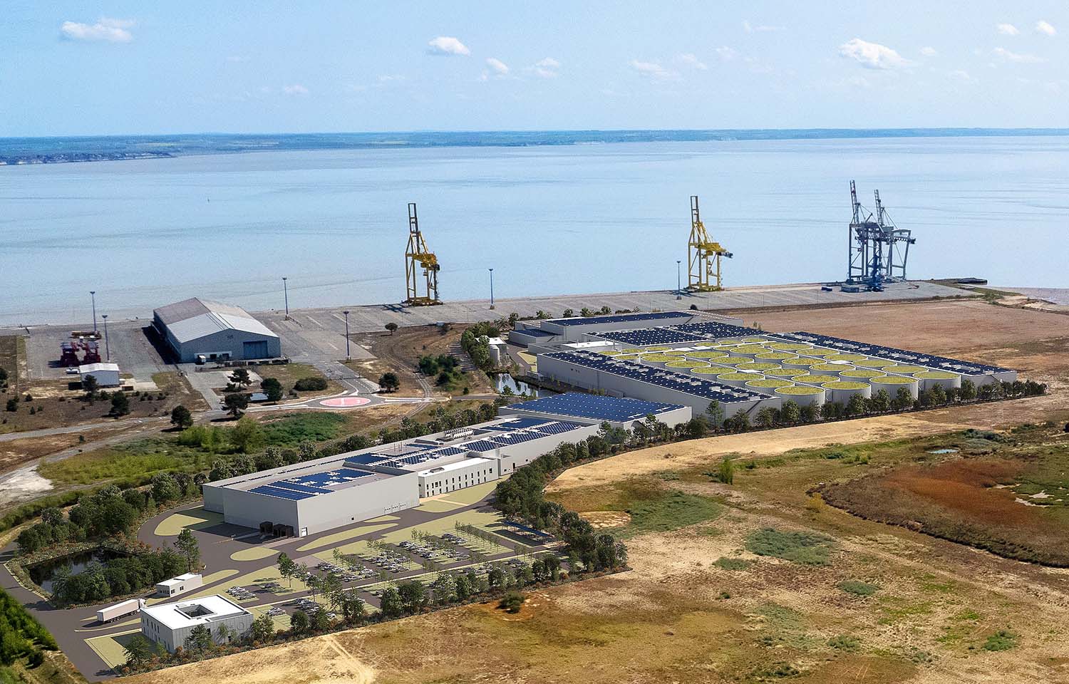 A rendering of what Pure Salmon's facility will look like from the air