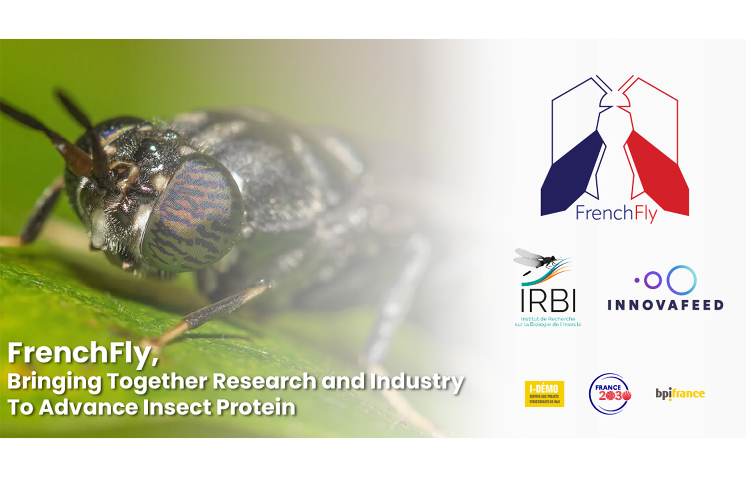 Innovafeed and the Institute for Research on Insect Biology announced a partnership to create insect feed in aquaculture