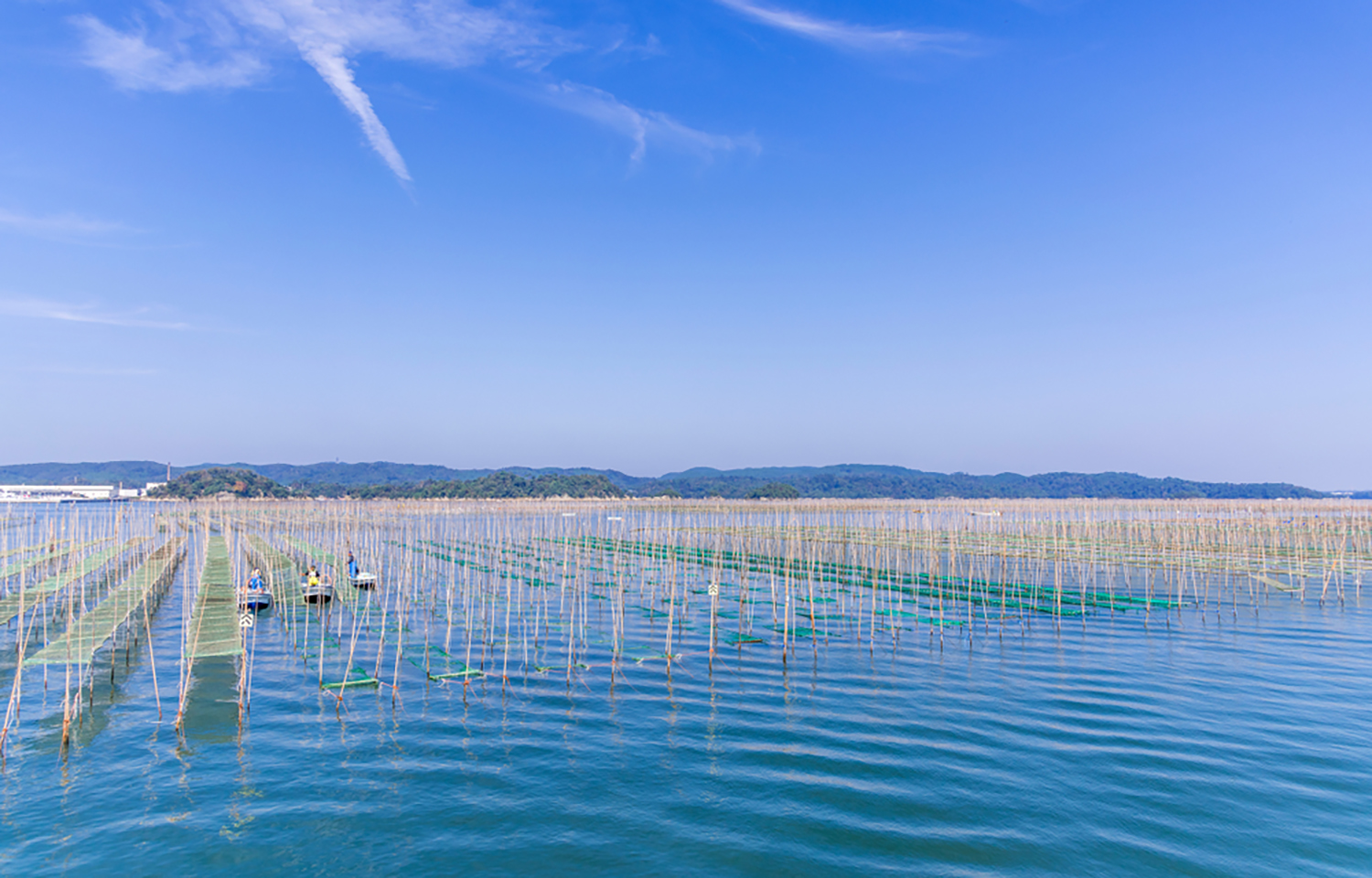Nori farming in the Japanese countryside