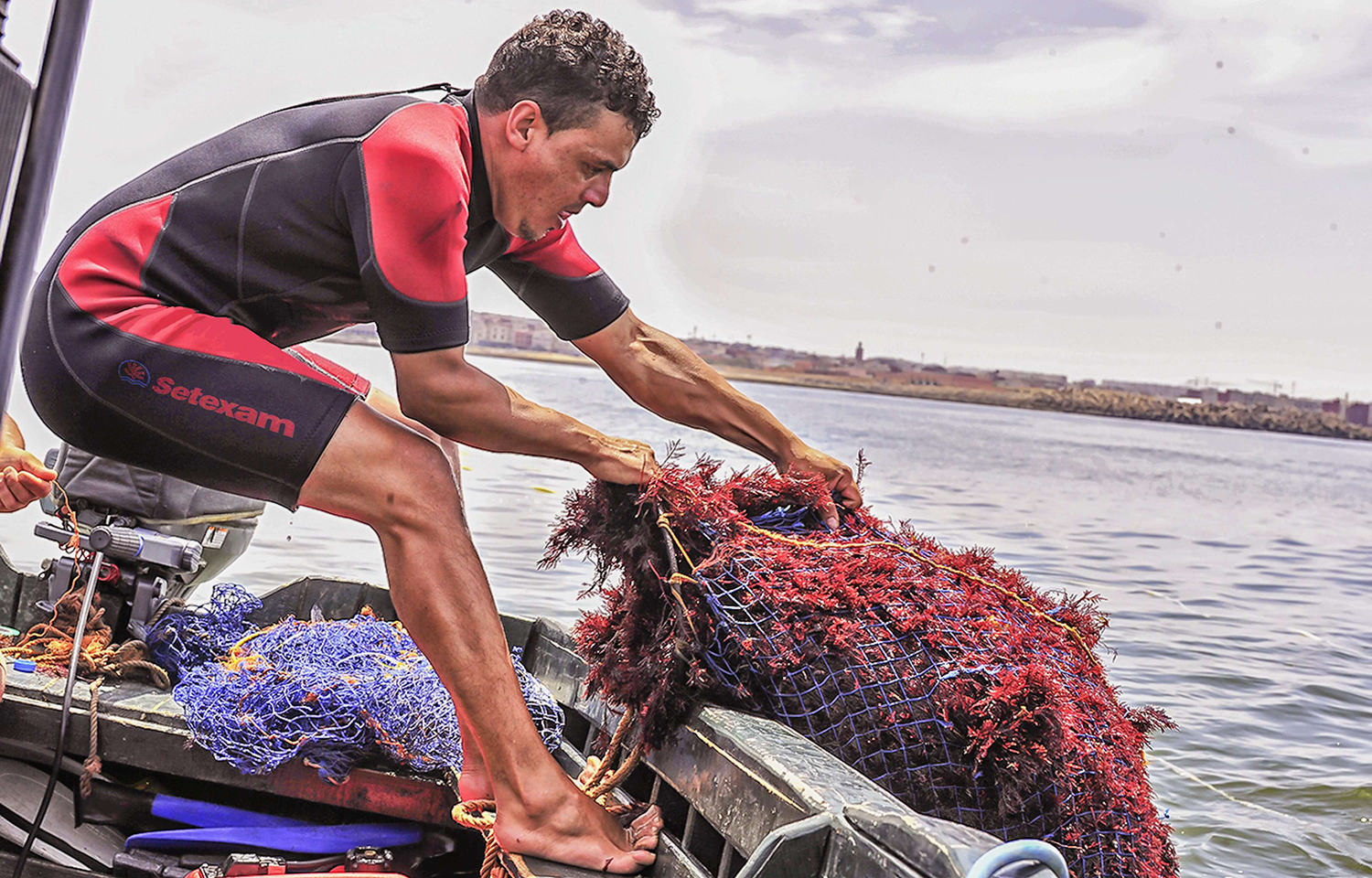 Aquaculture reforms in Morocco helping to attract investments