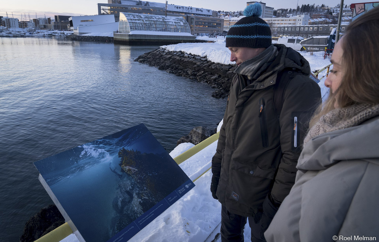 Outdoor exhibition in Tromsø, Norway, highlights area's kelp restoration efforts