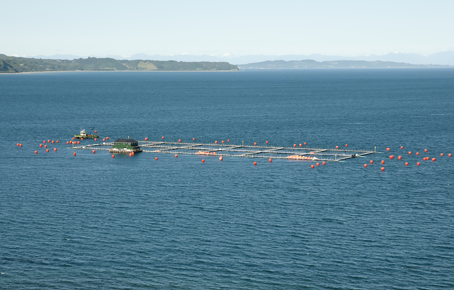 A Chilean fish farm