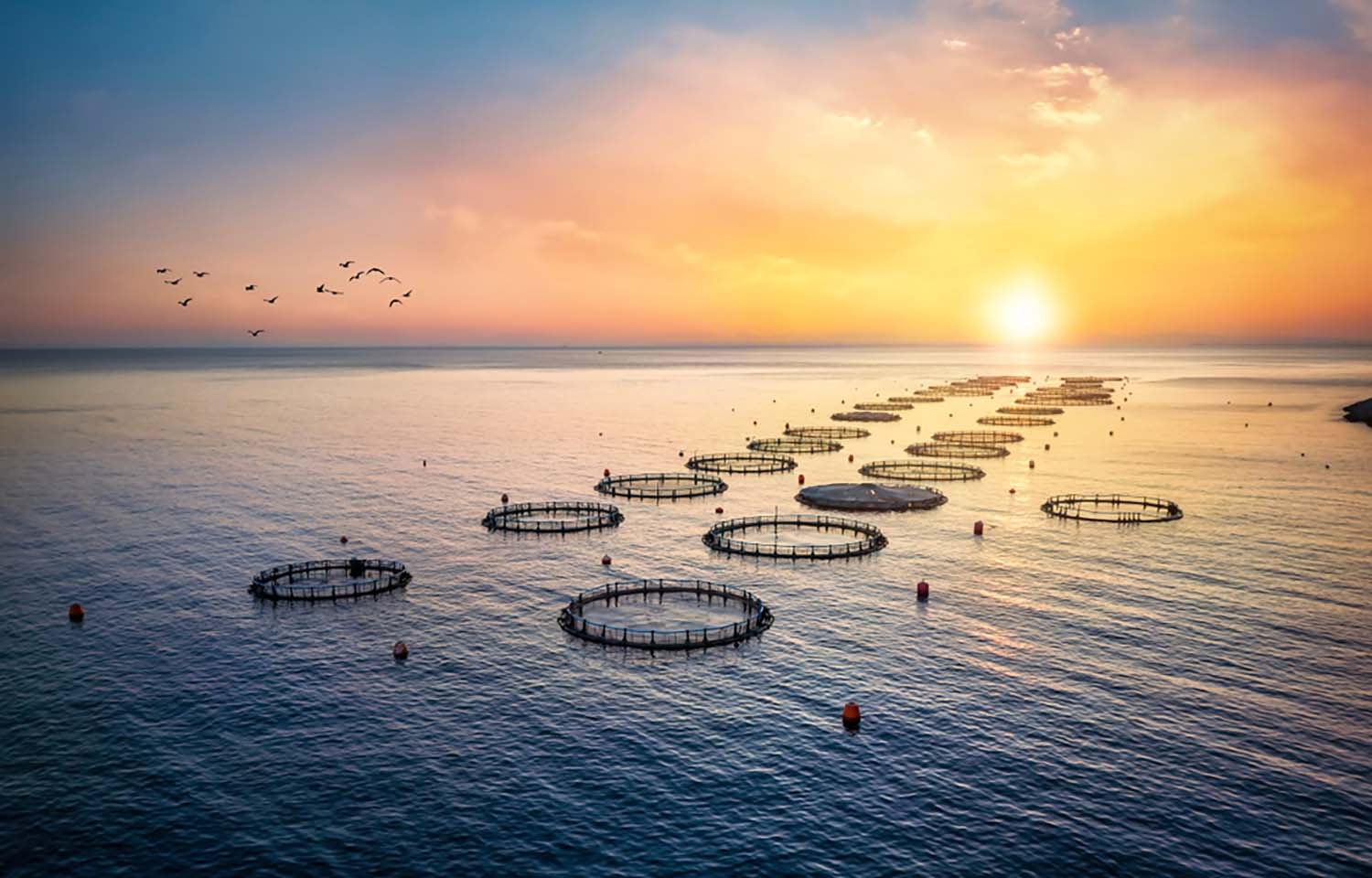 A fish farm in Greece