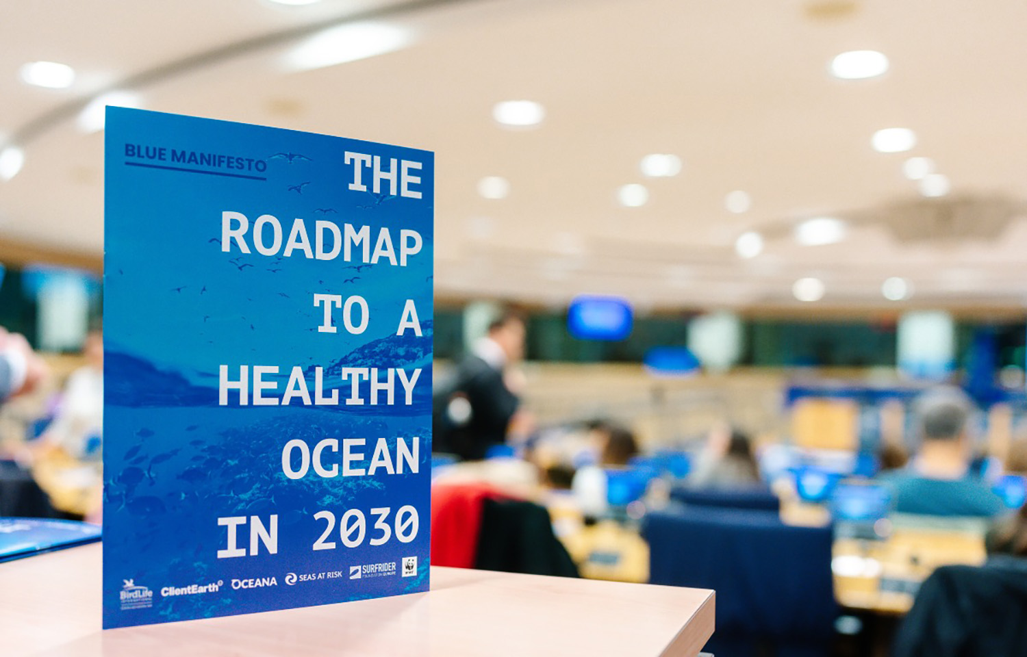 A photo of a promotional card for the Blue Manifesto stating "The Roadmap To A Healthy Ocean in 2030"