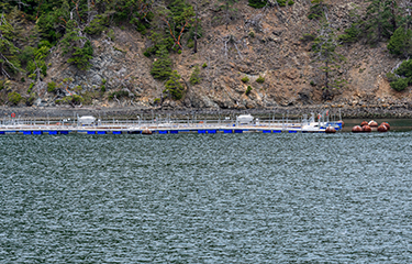 A net-pen salmon cage in Puget Sound, Washington, U.S.A.