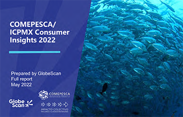 The Comepesca report cover