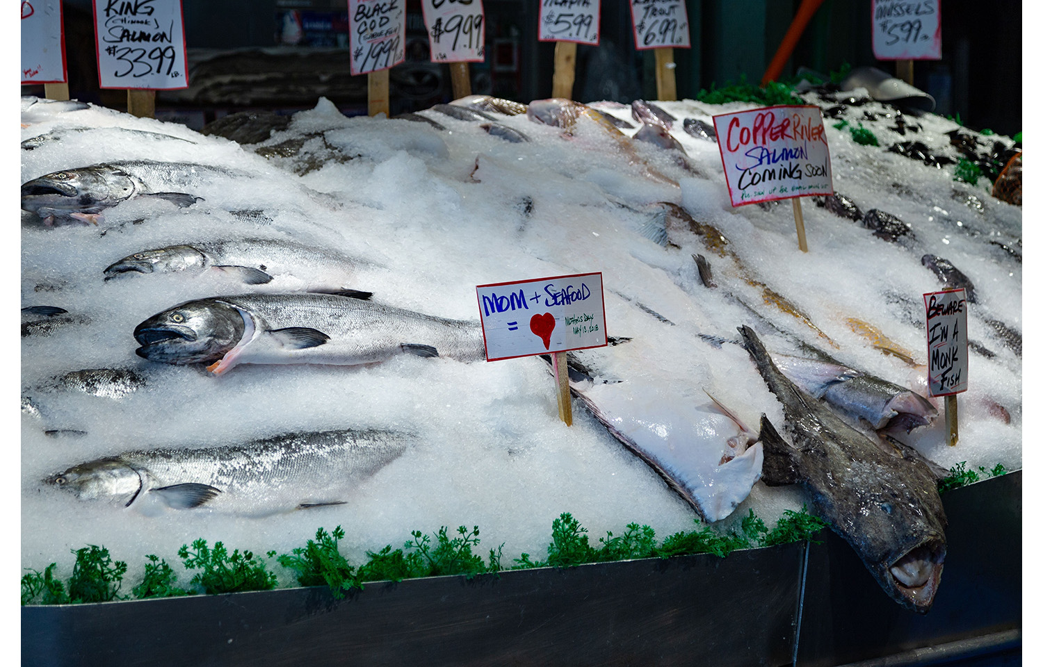 Fish on ice at a market