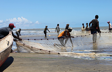 Transforming small-scale fisheries