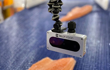 Tally vision camera technology