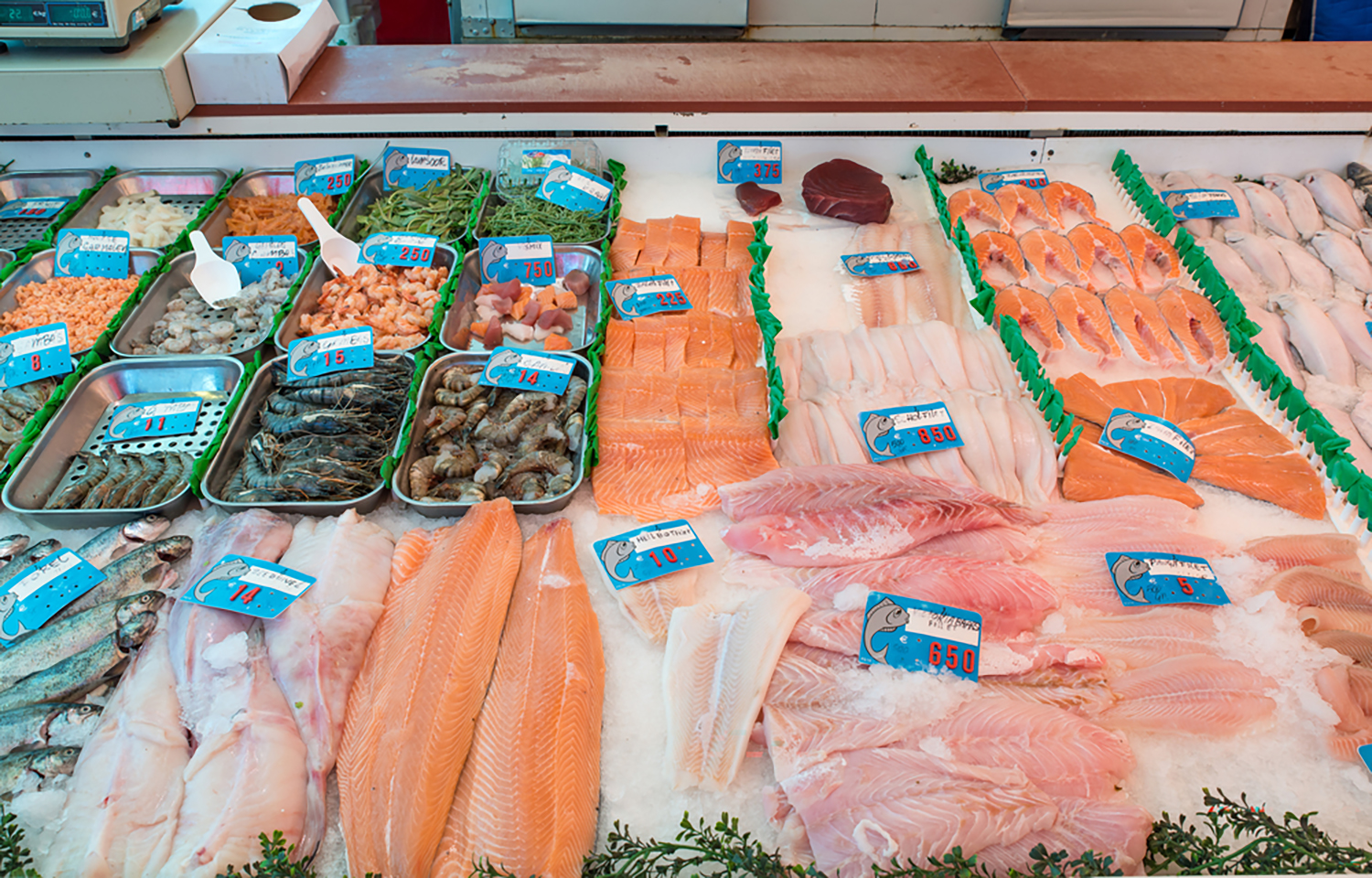 Fresh fish on display at a market in Amsterdam