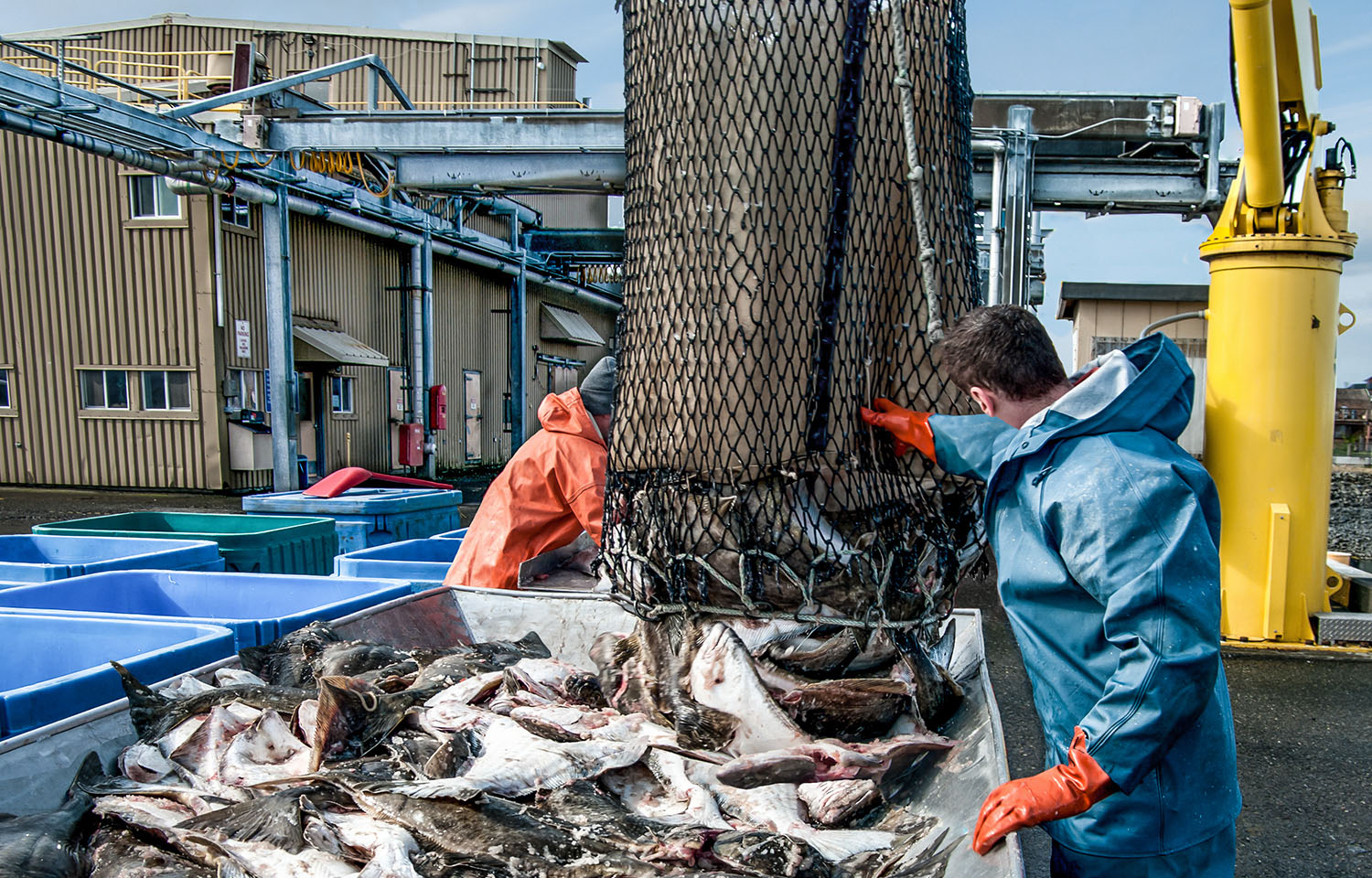A photo of Alaska fishermen.