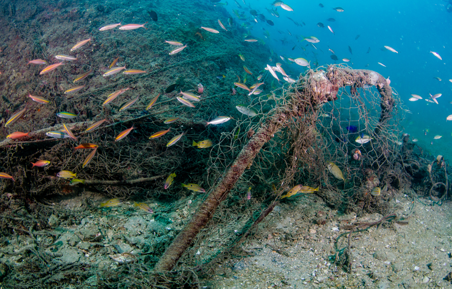 10 vessels found responsible for 25 percent of harmful bottom trawling ...