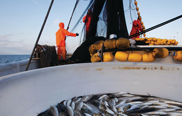 Fishermen working on a fishing boat.