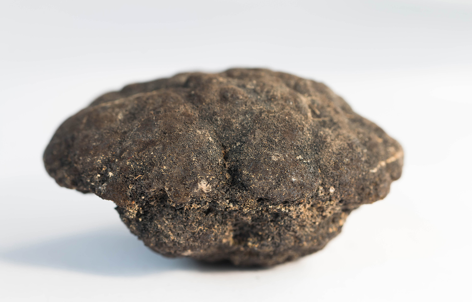 Deep seabed mining involves collecting polymetallic nodules, ancient mineral-rich rocks, from the deep ocean floor