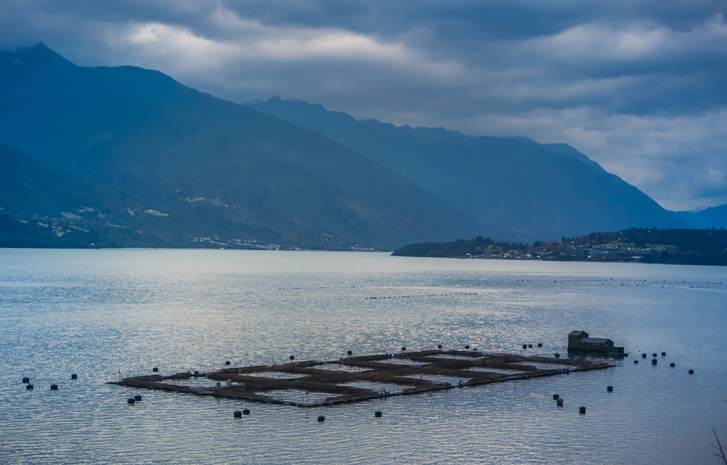 A salmon farm in the Los Lagos region of Chile