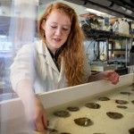 Dr. Anaëlle Lemasson