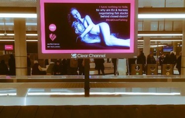 Fishlove at Bergen Airport