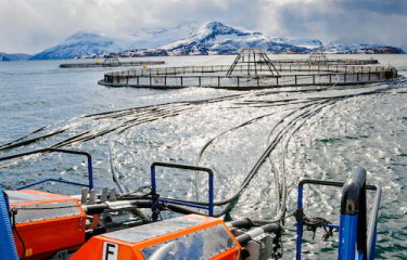 Leroy Fish Farm
