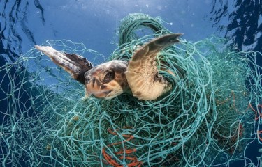 Thai Union adds weight to ghost gear initiative and combating marine  plastics