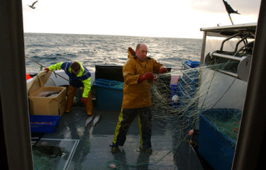 M&S fish supplier