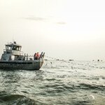 A gillnetter catching salmon in Bristol Bay, Alaska.