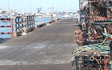 Fishery dock in Monterrey CA