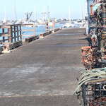 Fishery dock in Monterrey CA