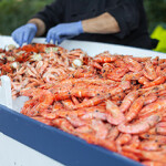 A pile of cooked shrimp on display.