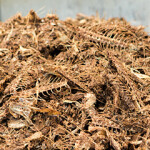 A pile of fish byproducts.