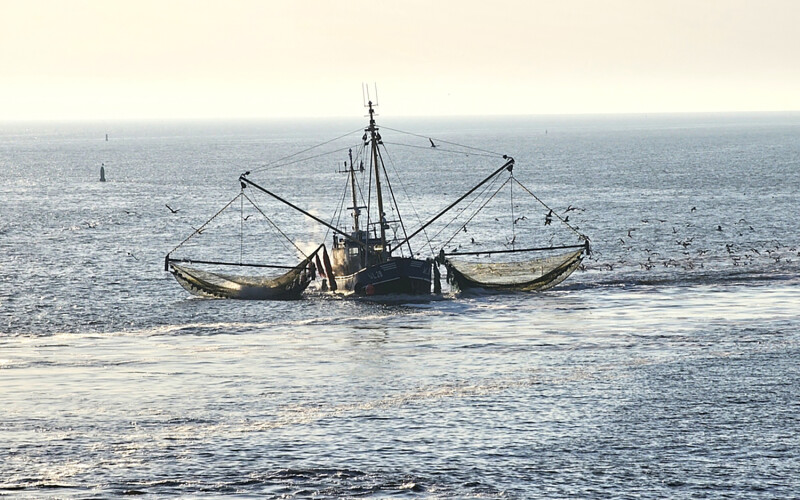 A Dutch fishing vessel