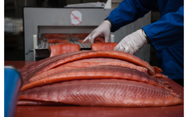 Smoked salmon undergoing processing